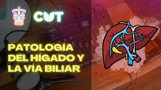 Emisión en directo  Patología del hígado y la vía biliar curso 2022A les presento a mi gatito [upl. by Ainesy]