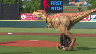 Welcome to Hickory Crawdads Baseball [upl. by Miharbi]