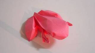 Origami Frog Ranoshi  Sapo de origami [upl. by Antin]