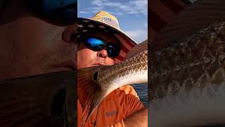 Catch BIG RED fish on cut bait and released redfish flatsfishing kayakfishing [upl. by Lemuela]