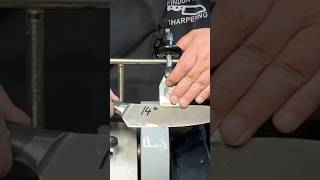 Tormek Knife Sharpening  14° asmr [upl. by Earle]