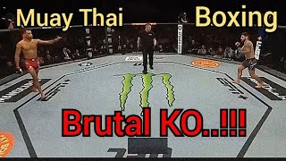 Boxing vs Muaythai In UFC Brutal KO [upl. by Aitan]