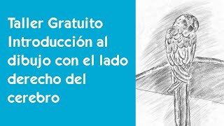 Taller de dibujo con el lado derecho del cerebro  Principiantes [upl. by Pears]