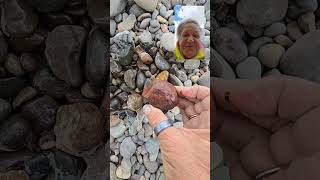 Gem Brecciated Red Jasper shorts gemstonecollector rockhounding [upl. by Brink]