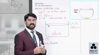 CHAPTER TRANSPORT LEC5 WATER POTENTIALmp4 [upl. by Cnahc]