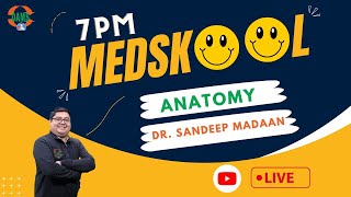 7PM Medskool by DAMS  Anatomy with Dr Sandeep Madaan [upl. by Niamert]