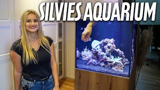 Ich bin Silvie und das ist mein MEERWASSERAQUARIUM  PlanktonPlus Aquaristik [upl. by Siram]