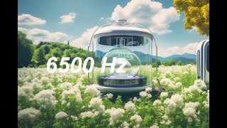 6500 Hz Pure sond 3 minutes Precise Test Tone Sine Wave Sound [upl. by Nnaecarg]