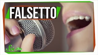 How Do You Sing in Falsetto [upl. by Aik]