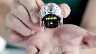 Get to Know Ozobot Evo the Smart and Social Robot [upl. by Romie]