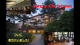 願いが叶ったクリスマス！夢の国が目の前に！ [upl. by Hilly]