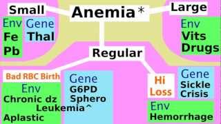 Easy Anemia Classification Introduction for Medical Pathology Students [upl. by Atteloj]