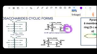 lec 2 bio 🌷disaccharides Gen bio [upl. by Eelorac]