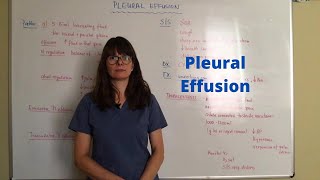 Pleural effusion [upl. by Ahsilam609]