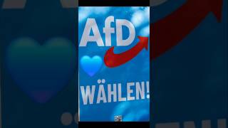 Politik wirklichkeit wahlen [upl. by Allebram169]