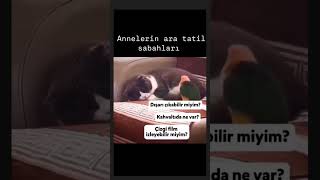 Ara tatil nasıl geçiyor 🤣🤣aratatil tatil comedy shorts annelik [upl. by Owain]