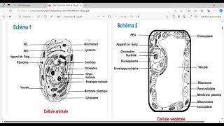 biologie cellulaire s1 BCG Partie 1 [upl. by Siver]