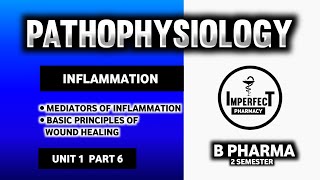 Mediators Of Inflatlmmation  Basic Principle Of Wound Healing In The Skin  Pathophysiology [upl. by Meid]