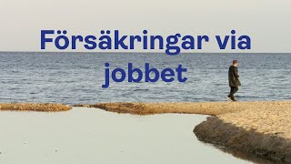 Ingen ska missa ersättning  Försäkringar via jobbet [upl. by Tomasine]