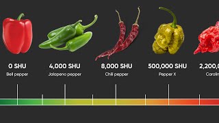 The Spiciest Peppers in the World [upl. by Lewert433]