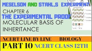 PART10 MESELSON AND STAHLS EXPERIMENT CHAPTER 6 NCERT CLASS 12TH BIOLOGY [upl. by Erda]