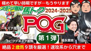 【POG情報20242025】２歳馬情報を大公開！エピファネイア産駒、サートゥルナーリア産駒、キズナ産駒など…競馬 pog 2歳馬情報 [upl. by Stets]