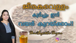 Cumin seedsജീരകംHealth amp Beauty BenefitsAyurcharyaDrSajitha Dijin [upl. by Eiral216]