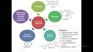 Biodegradation of Xenobiotics [upl. by Tikna]