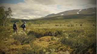 Ett fiskeår längs Vindelälvsdalen del 6  Ammarnäsöringen och fjällfisket [upl. by Hgielsel]