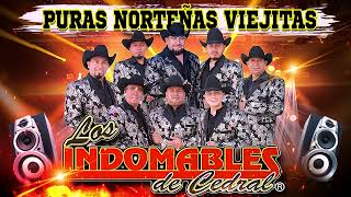 Puras Norteñas Viejitas mix Para Bailar  Los Indomables De Cedral mix Exitos 🎶🎶🎶 [upl. by Cowles]