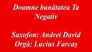 NEGATIV  DOAMNE BUNATATEA TA [upl. by Yseult]