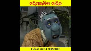 ମରିଯାଇଥିବା ମାଲିକ  Odia moral story shortvideo shortsfeed gapa moralstories shorts [upl. by Cavan413]