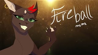 Fireball MEME [upl. by Hooker]