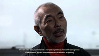 Entrevista  Interview Takashi Amano on quotNature Aquariumquot [upl. by Cirone]