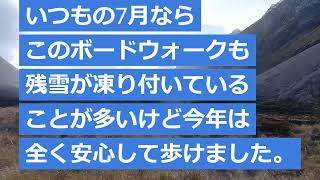 マウントクックのフッカーバレートラック、2023年7月15日というNZの冬にフッカー氷河湖まで歩いてきたときに見られたトラック状況 [upl. by Cyndia]