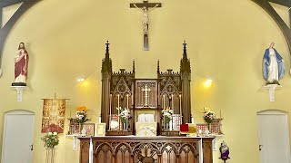 Traditional Latin Mass Perth WA is live Dedication of the Archbasilica of Our Holy Saviour [upl. by Geier]