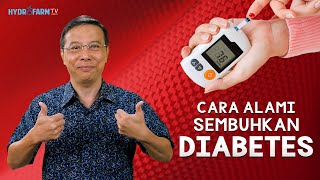 CARA ALAMI SEMBUHKAN DIABETES [upl. by Vinny]