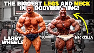 The Biggest LEGS and NECK in Bodybuilding with Rubiel aka NECKZILLA [upl. by Anead]