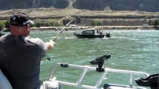 HUGE Sturgeon Caught From Columbia River at Rufus Oregon 81112 [upl. by Nomde]