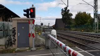 Bahnübergang Hattenheim Waldbachstraße  Railroad Crossing  Spoorwegovergang [upl. by Nataniel]