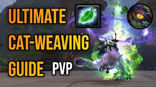 Resto Druid CatWeaving Guide PvP [upl. by Enela]