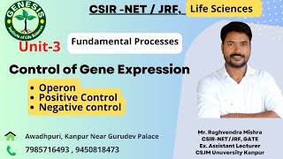 Control of gene expression  Operon  Positive Control amp Negative Control Operon  Lecture39 [upl. by Nilla]