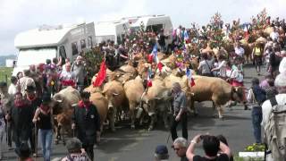 Transhumance Aubrac [upl. by Mayworm]