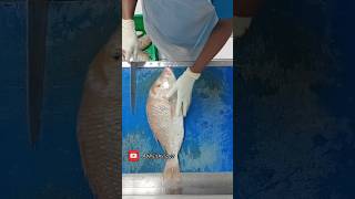 Emperor Lethrinus nebulosus വിള മീൻ  shiery fish cleanshorts fishmonger music cuttingskills [upl. by Enram838]