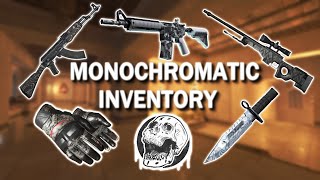 CS2  Fully MonoChromatic themed inventory  Black and White [upl. by Fleming]