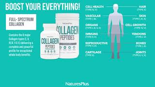 NaturesPlus Collagen Peptides 6 types of collagen [upl. by Anrat]