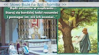 Słowo Boże na dziś  homilia  Ewangelia Łk 19 110 Nawrócenie Zacheusza  19 listopada 2024 [upl. by Yeloc]