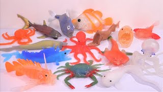 オーシャンアタック＆Ｃｏ（アンドコ）伸びて光って色が変わる❗ビッグ コンプリートセット 深海魚 デアゴスティーニ OCEAN ATTACK amp Co BIG squishy DeAgostini [upl. by Farant]