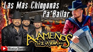 POPURRI ALAMEÑOS DE LA SIERRA  LAS MAS CHINGONAS PA BAILAR MIX 2025 [upl. by Collie]