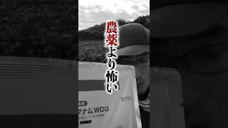 【農薬】カビや腐敗菌は食べると危険です。怖がるだけではなく農薬の役割を知って野菜作りでは気をつけましょう [upl. by Lewendal]